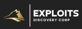 Exploits Discovery 2020 Year End Review and 2021 Exploration Outline
