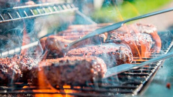 BBQ money, roadkill, investors, Why I served roadkilll to my investors