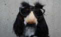 Fun can be the ticket out of workplace angst Fun can be the ticket out of workplace angst