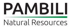 ‘I believe in the mineral potential’ of Zimbabwe: Pambili appoints technical consultant