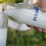 Lab-grown animal-free dairy protein a game-changer for dairy industry