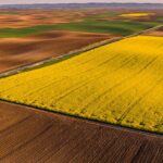 Ottawa’s EV gamble just cost canola farmers billions