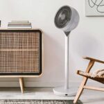 Woozoo Pedestal 360 fan punches above its price